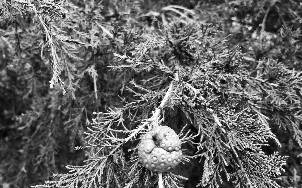 There are some who will outlive us&nbsp;all