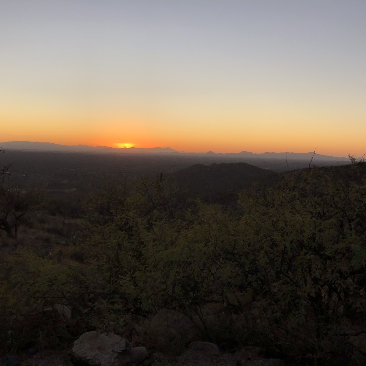 Special Series: Reintegrating with&nbsp;Nature