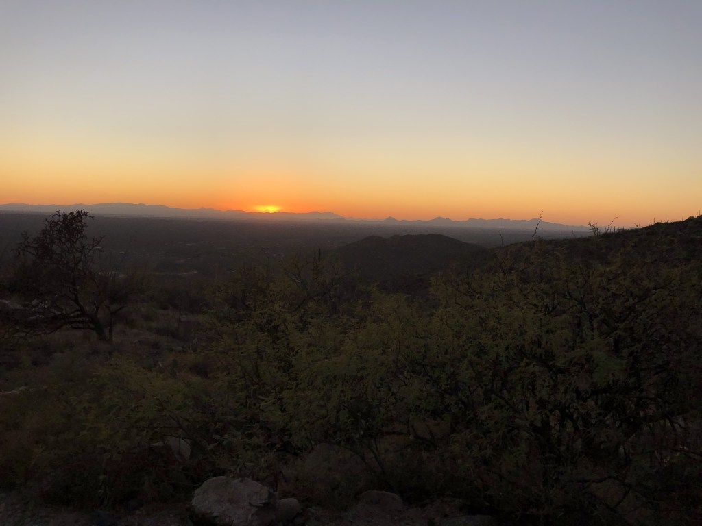 Special Series: Reintegrating with&nbsp;Nature