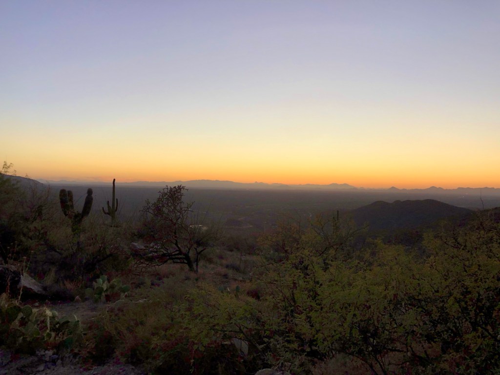 Reintegrating with Nature: Relocating ‘Wilderness’ within the&nbsp;Self