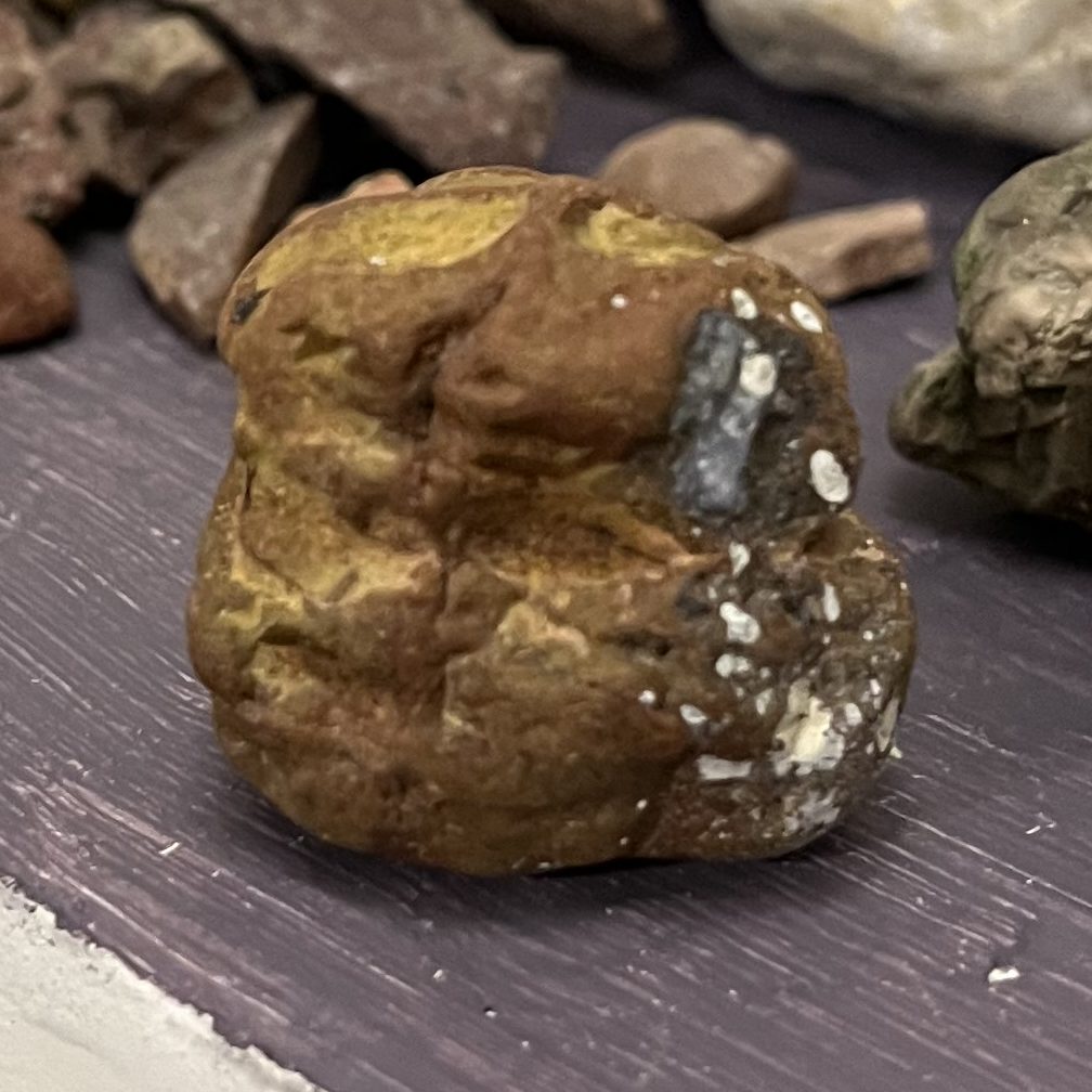 image of a petrified walnut