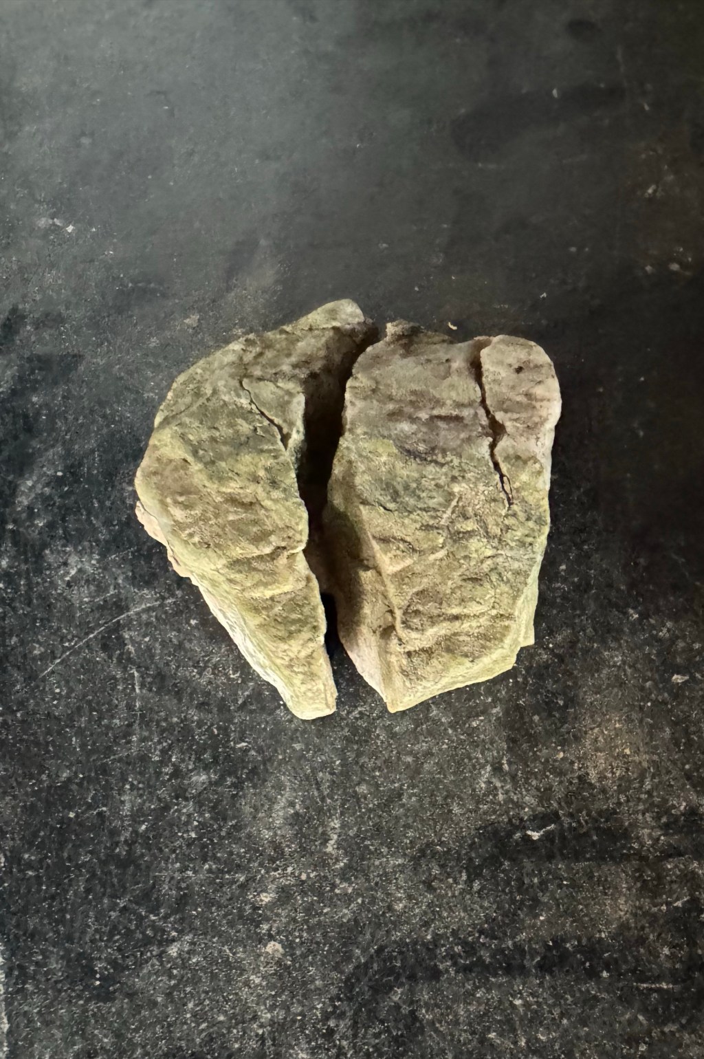 Wholeness/Anticapital